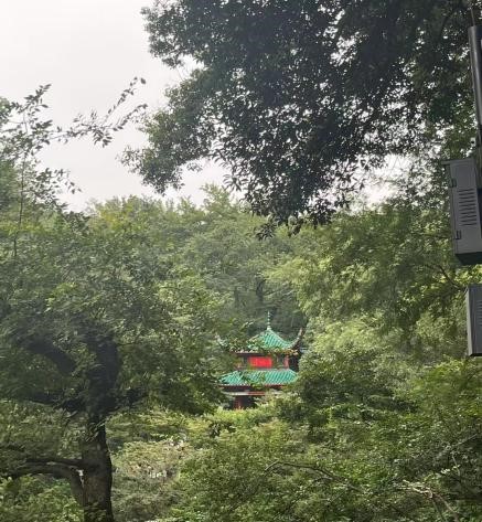 足球直播线上看