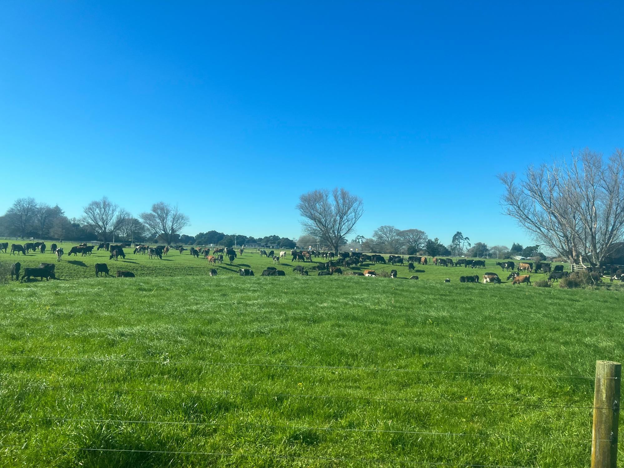 足球直播线上看